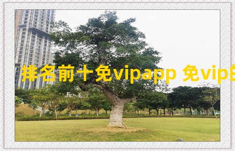 排名前十免vipapp 免vip的软件下载